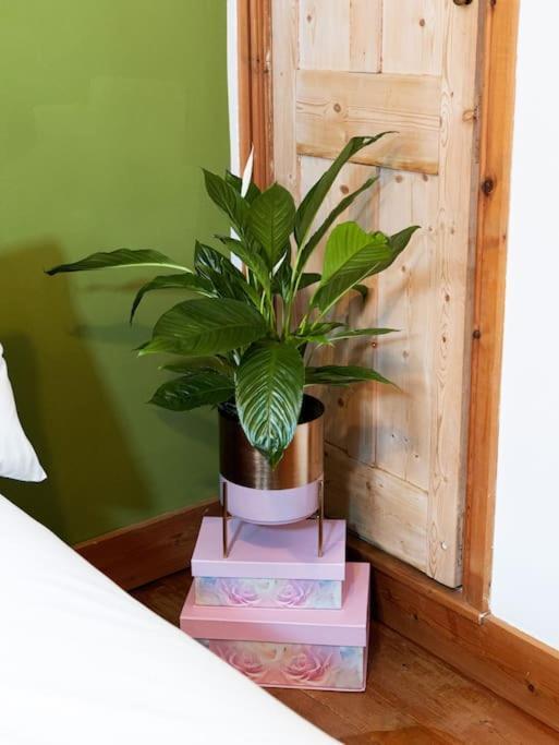 Holiday home Cosy In Free Parking & Fast Wifi